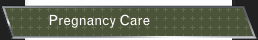  Pregnancy Care